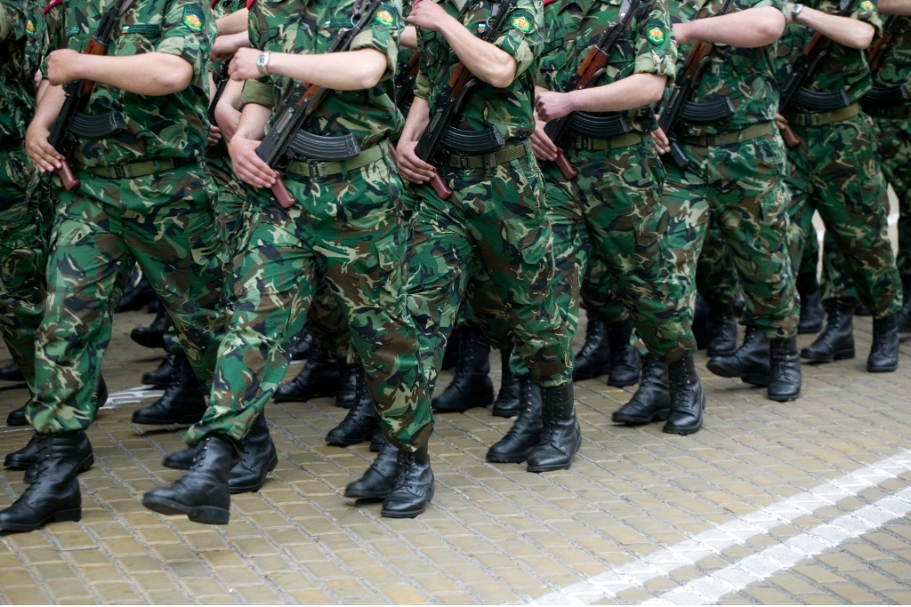 Army/Paramilitary Forces